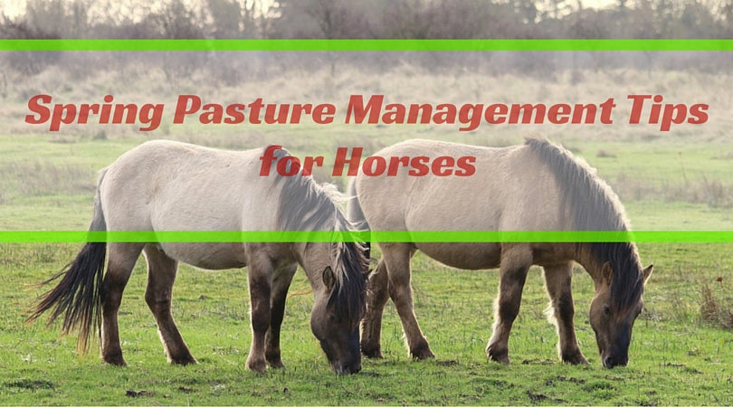 pasture health