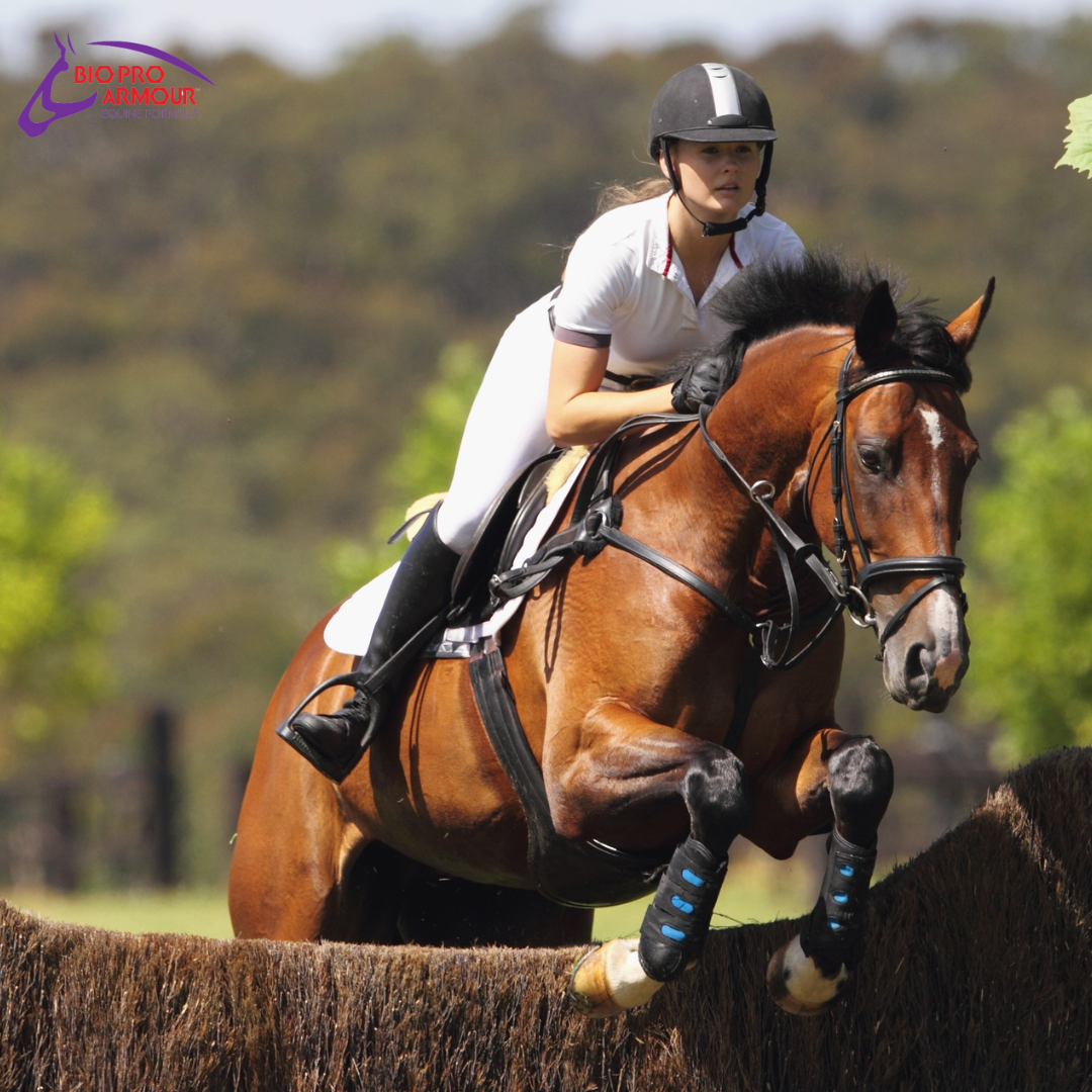 Giving your horse choices is so important.