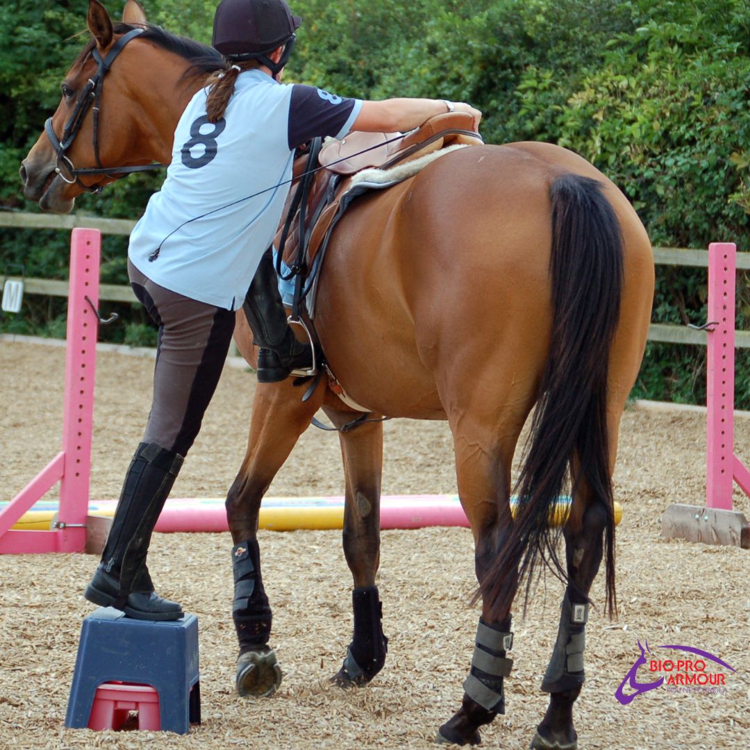 How To Teach Your Horse to Stand At The Mounting Block