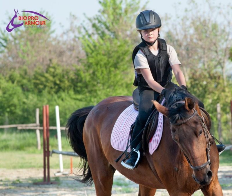 tension in horses can be displayed through their body language