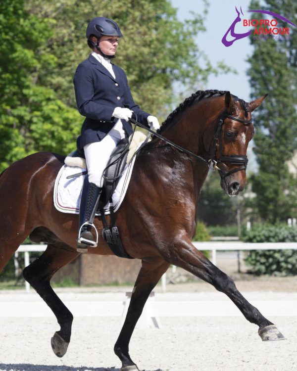 Dressage is horseback riding at its most elegant