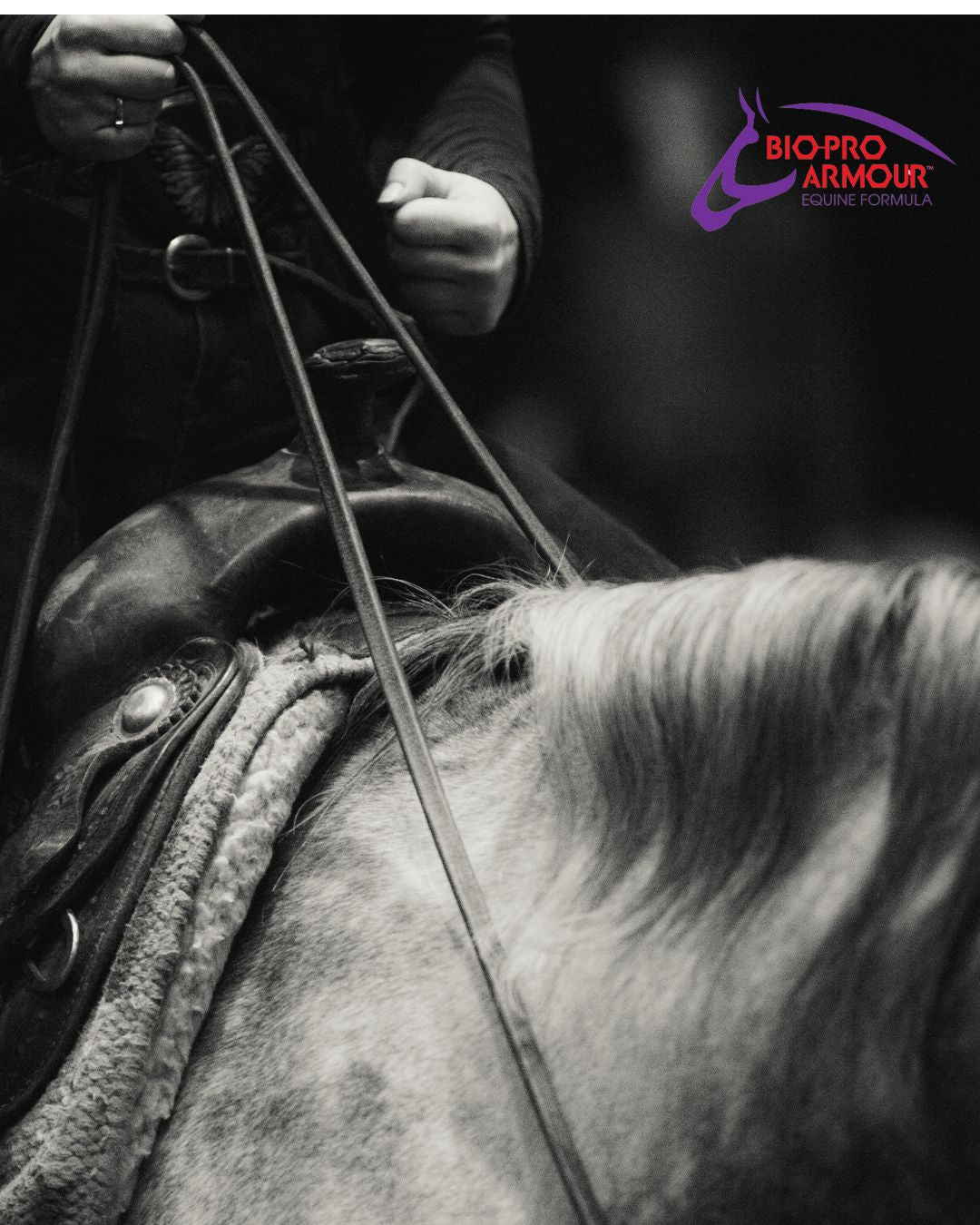 Reining showcases the athleticism of the modern ranch horse