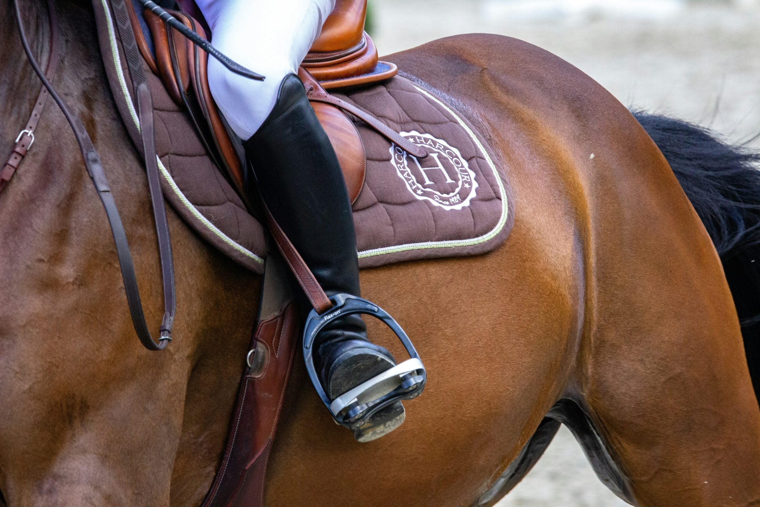 Saddle fit is key to the comfort of your horse