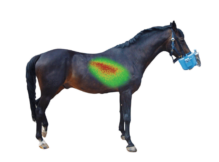Nuclear Imagery Study