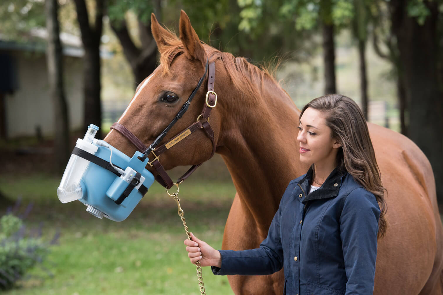 Flexineb E3 Portable Equine Nebulizer Adult Size Demonstration
